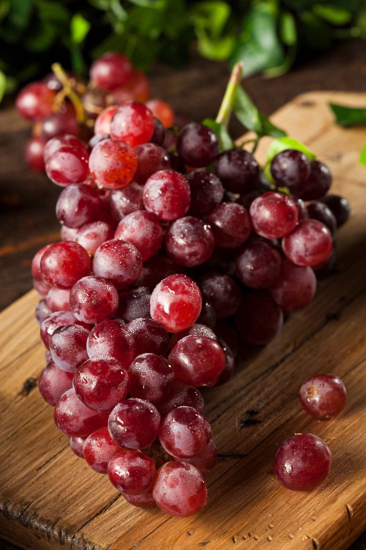 Are grapes low in carbs? Are you allowed to eat them on keto? Once you get the keto diet rules down pat, it’s easy to eat well and maintain your diet. If you’re new to it, you may still be wondering which foods can and can’t be consumed on a keto diet.