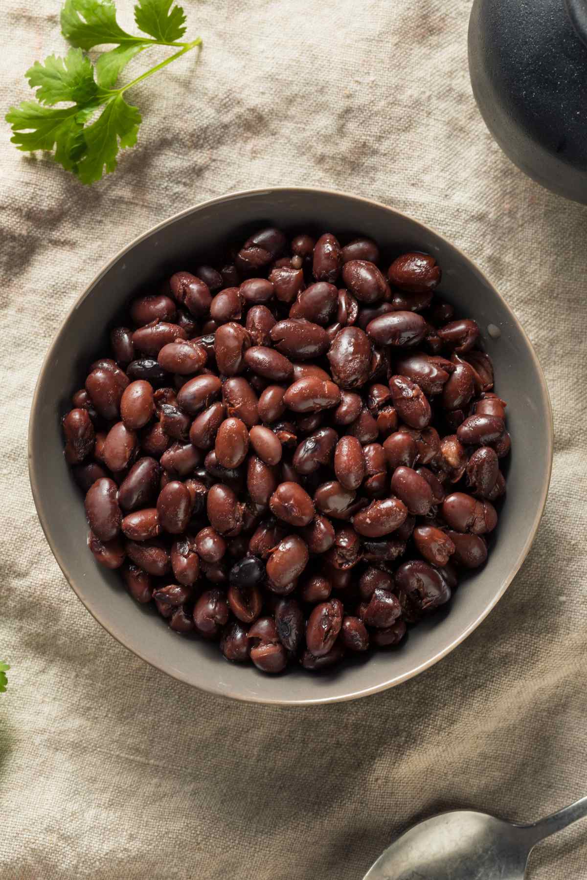 Are black beans keto? How many net carbs are in black beans? Read more to find out if this healthy and delicious bean is also keto-friendly.