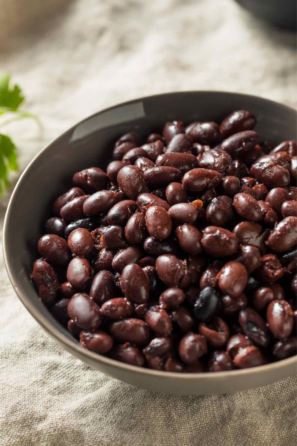 Are Black Beans Keto and Carbs in Black Beans IzzyCooking