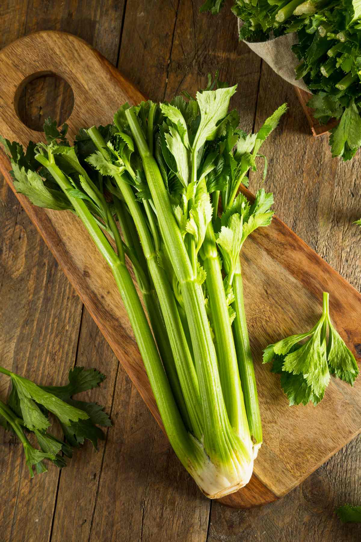 Carbs In Celery And Low Carb Keto Celery Recipes IzzyCooking
