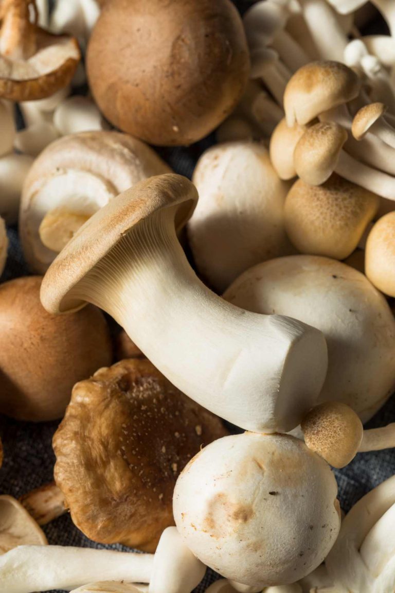 Are Mushrooms Keto (Carbs in Mushrooms and LowCarb Keto Mushrooms