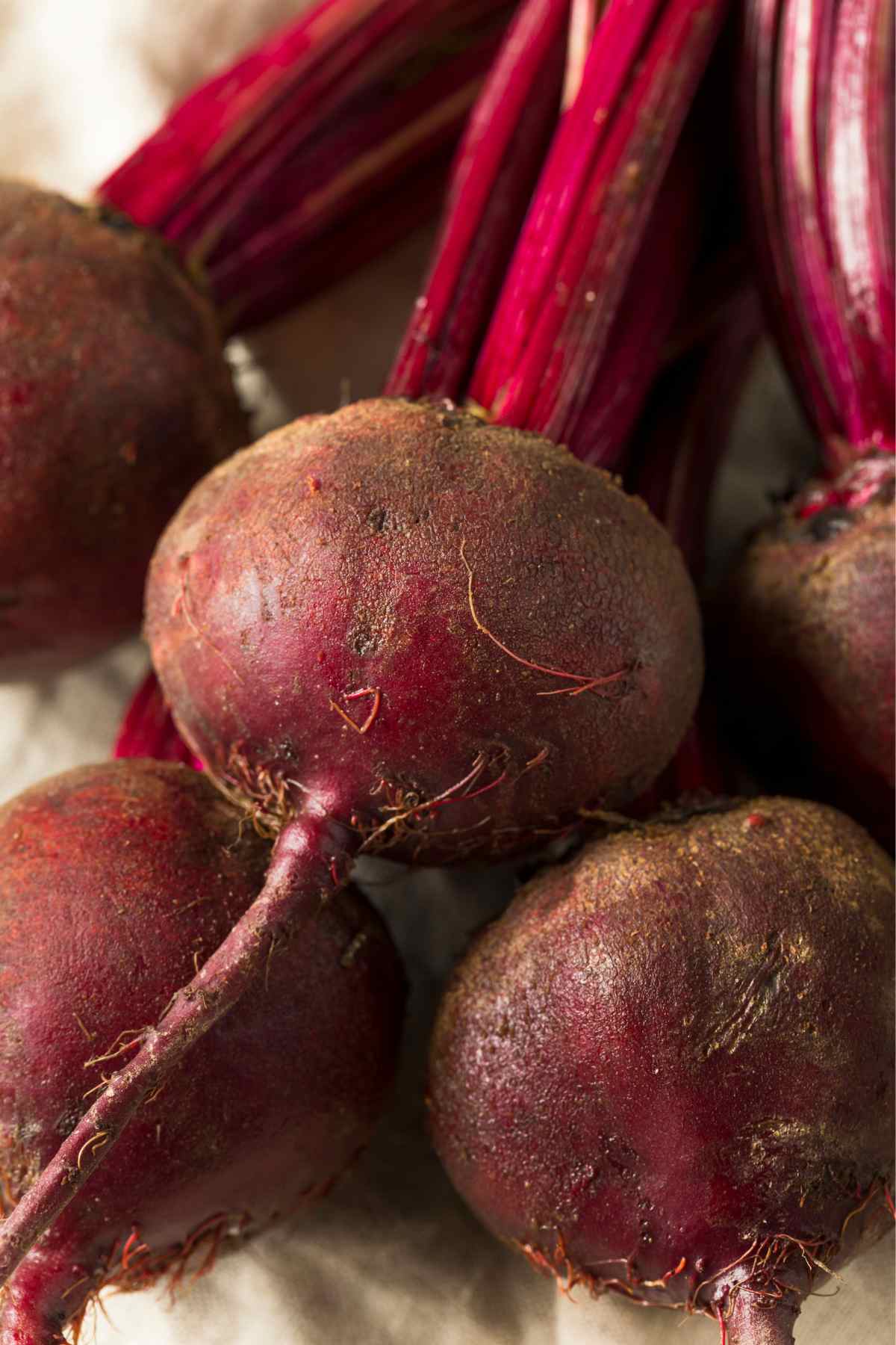 Beets are a rich source of vitamins and minerals and have many health benefits. However, they are also high in carbs, which can make it difficult to fit them into a low-carb diet like keto. In this post, you’ll learn whether beets are keto-friendly, how many net carbs they contain, and how you can incorporate them into your keto diet.