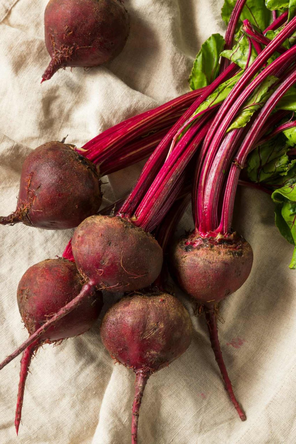 Carbs in Beets and Are Beets Keto? IzzyCooking