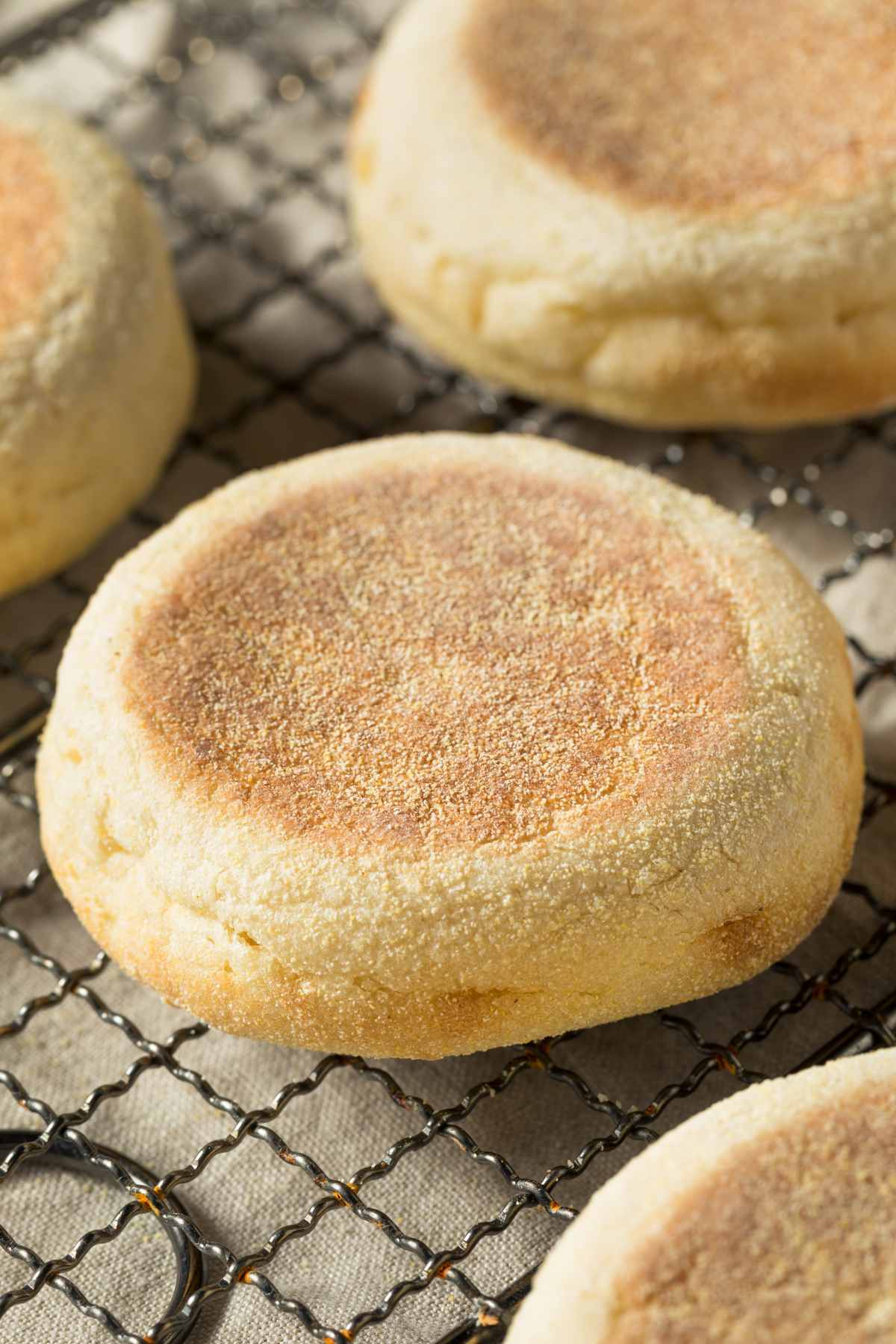 Ever wonder how many carbs are in English muffins? Are they keto-friendly? With the rise of the ketogenic diet, you may want to know whether English muffins can fit into a low-carb, high-fat lifestyle. In this article, we'll explore the carb content in English muffins and share with you a keto-friendly recipe to enjoy this breakfast classic.