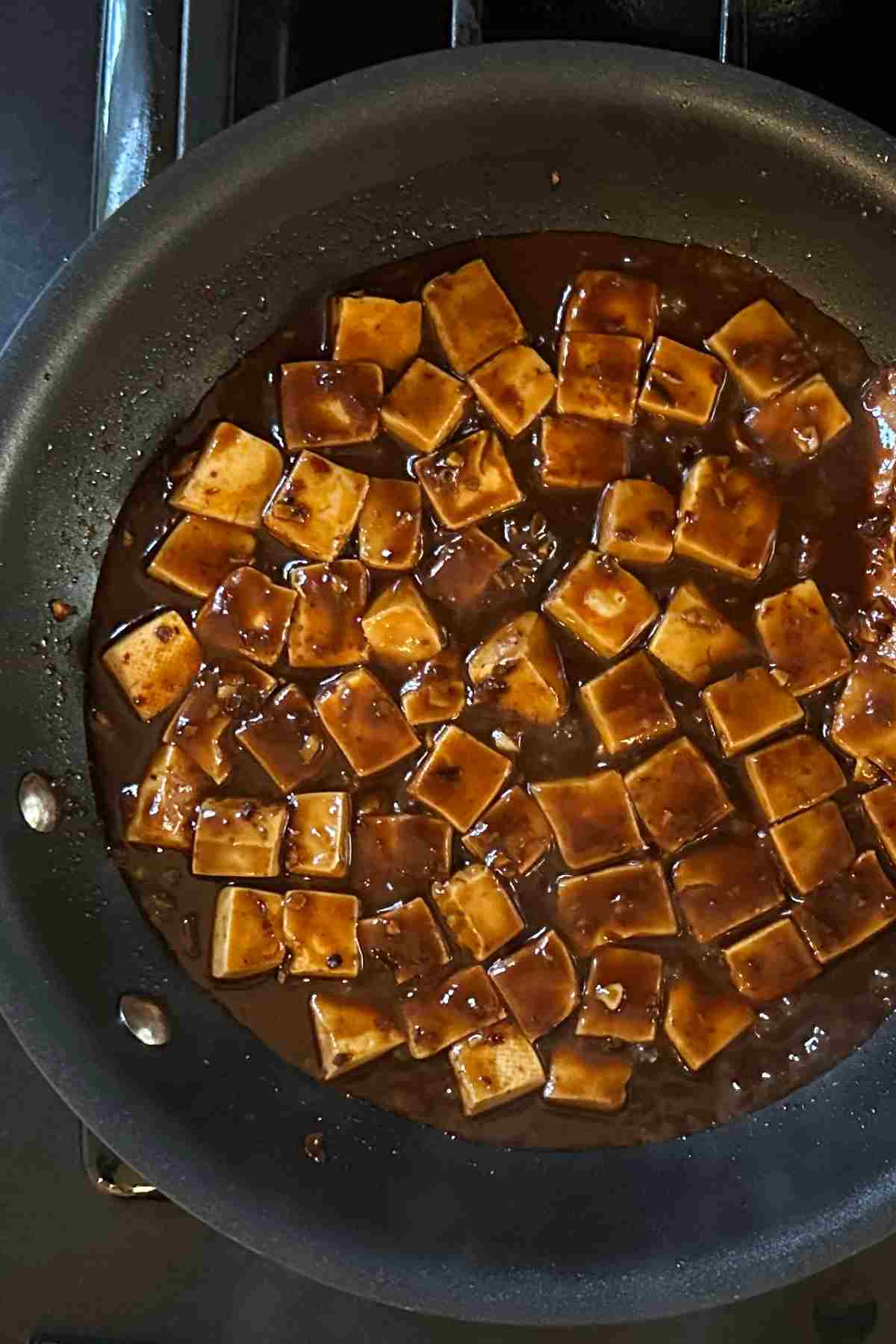 Bean Curd Szechuan Style Mapo Tofu