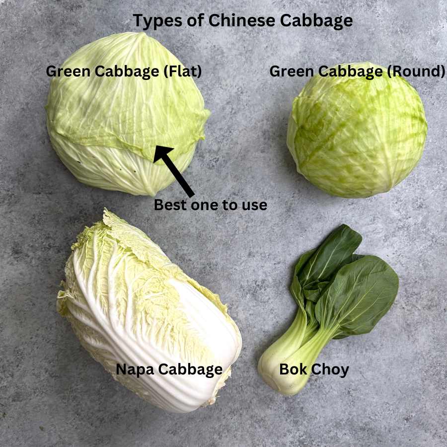 Different types of Cabbage on the counter: flat green cabbage, round green cabbabe, napa cabbage, and bok choy