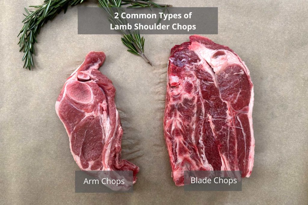 Types of Lamb Shoulder Chops: Arm Chops (left) and blade chops (right)