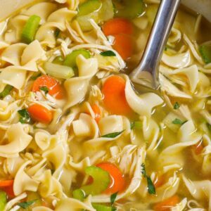 Soup recipes &ndash; hearty chicken noodle soup with egg noodles, carrots, celery, and shredded chicken in a Dutch oven with a ladle