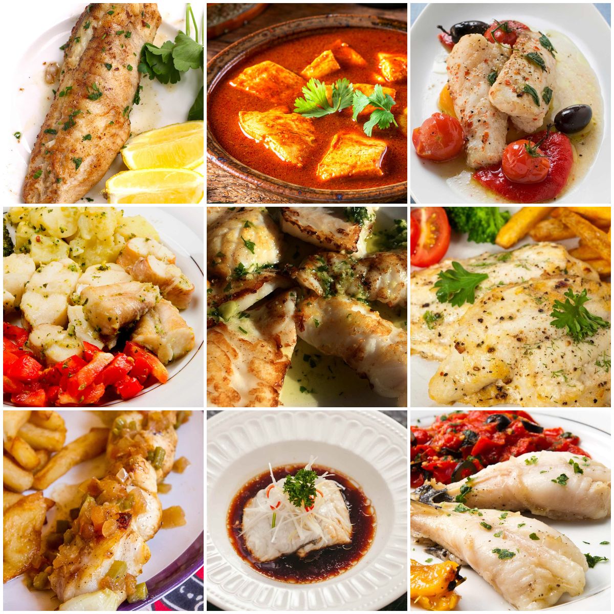 Collage of monkfish dishes including roasted, grilled, and pan-seared monkfish with various sauces and sides